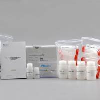  过滤法无内毒素快速质粒大量提取试剂盒(PD1522)