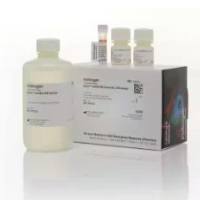 Invitrogen Qubit dsDNA BR Assay Kit Q32853