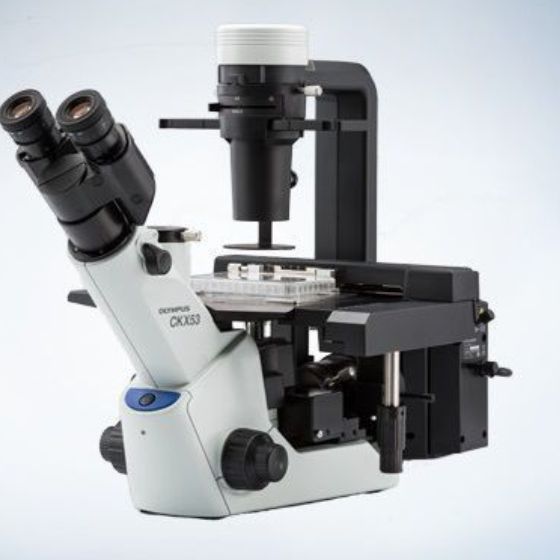 Olympus奥林巴斯显微镜 倒置CKX53