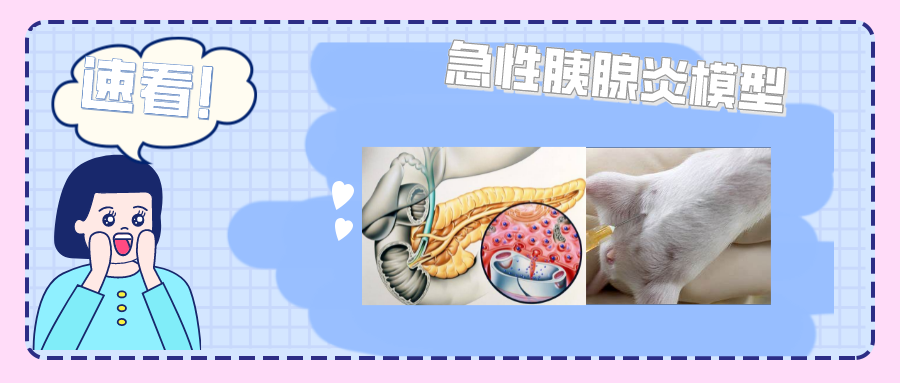 看完技能将“狂飙”！急性胰腺炎模型，不可错过！