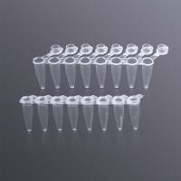 0.2ml 8联排管连盖 pcr离心管 无酶  