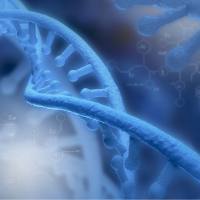 全基因组重测序