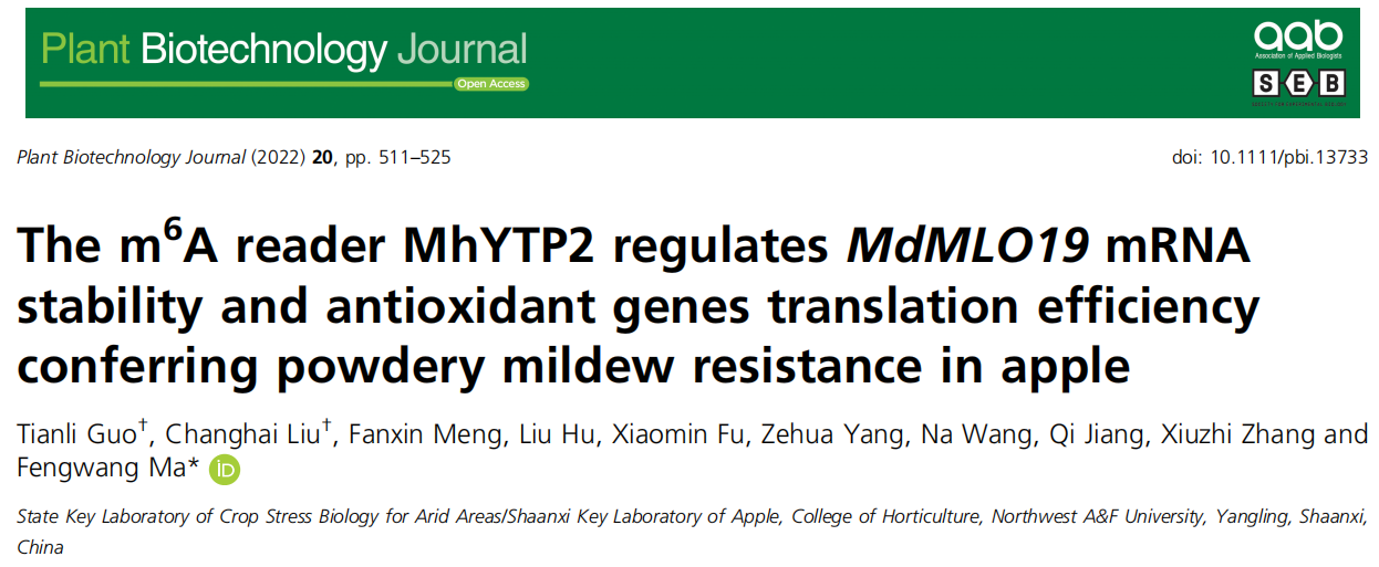 An apple a day，keep doctors away. 但是苹果自己生病了要怎么办呢？