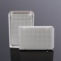 384孔40ul双切角PCR板,A24/P24切角,白框,白管