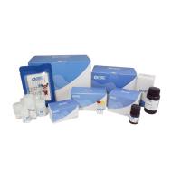 TRIextract 总RNA提取试剂