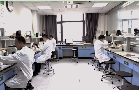 同心同行 | 武汉大学中南医院病理科：显微镜下的 2022 抗疫故事