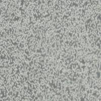 HMy2.CIR细胞(科研实验专用培养基)