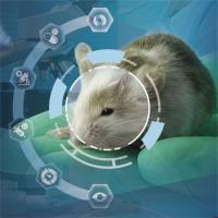 眼科基因治疗综合解决方案