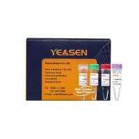 猴痘病毒PCR检测试剂盒Monkeypox Virus Real Time qPCR Kit