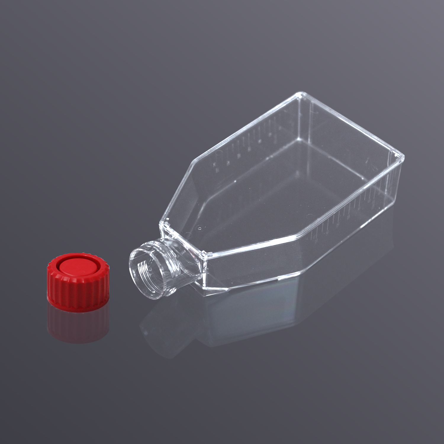 T75细胞培养瓶，25cm²，密封盖 ，TC处理