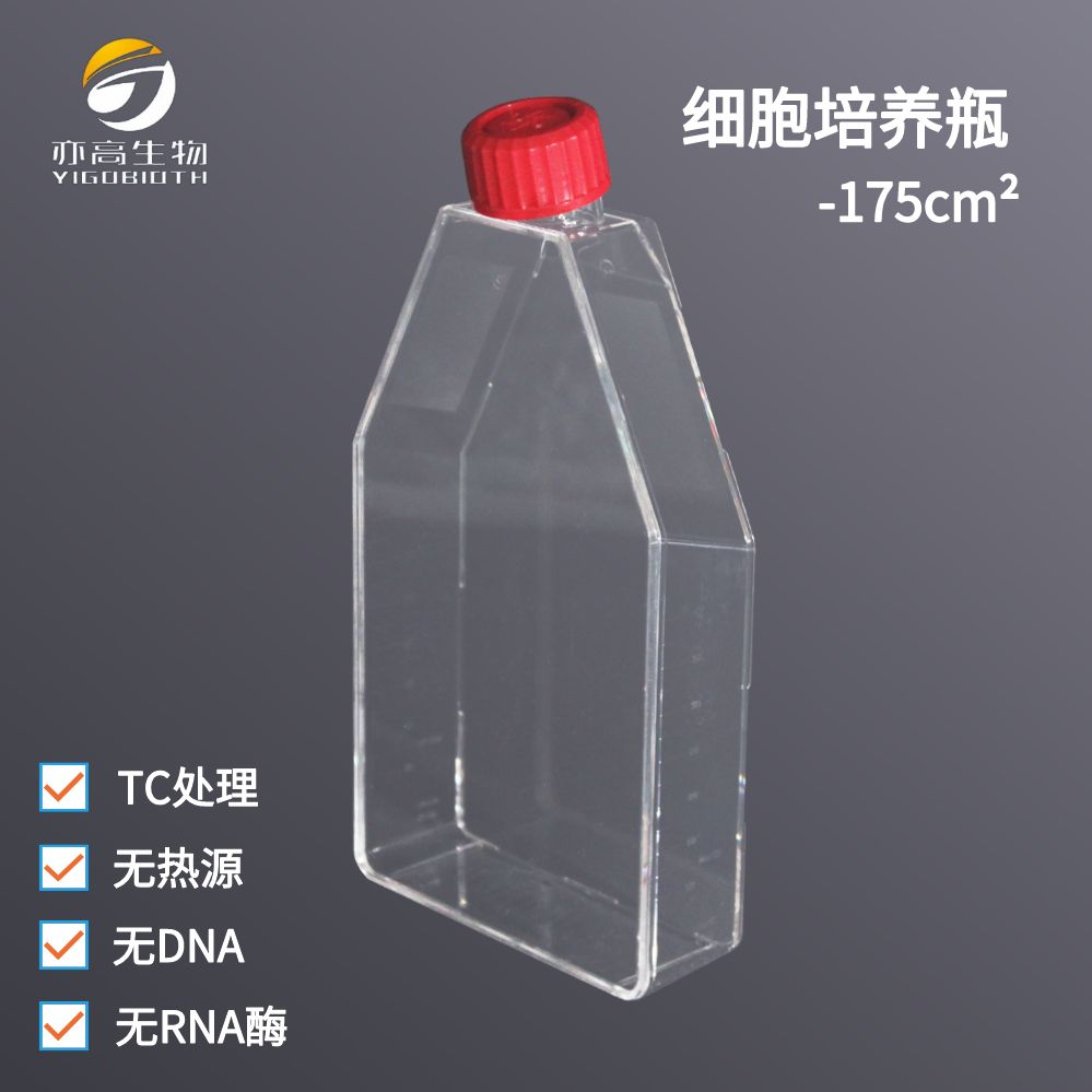 T175细胞培养瓶，175cm²，透气滤膜盖 ，TC处理