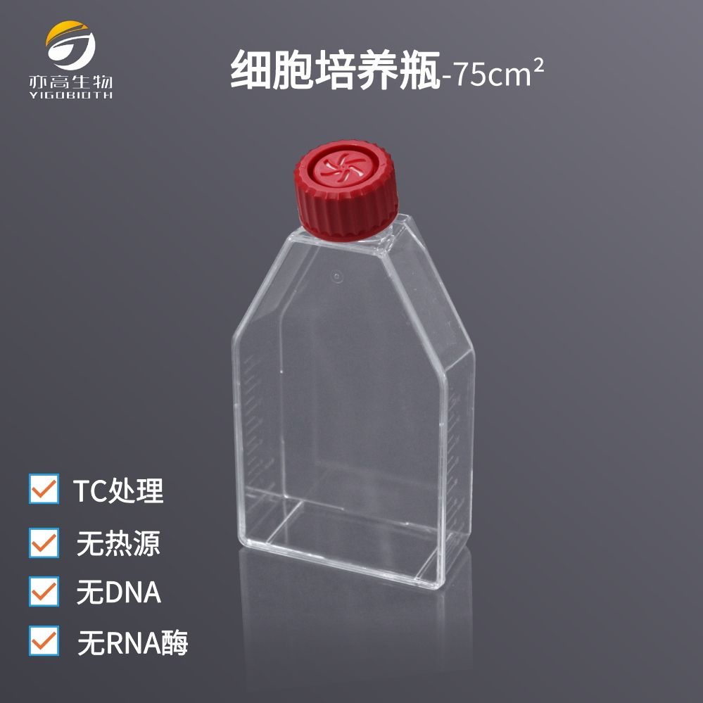 T75细胞培养瓶，75cm²，透气滤膜盖 ，TC处理
