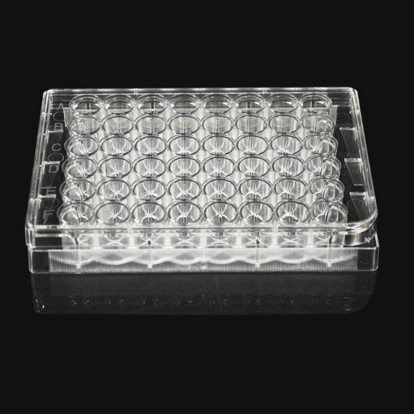 48孔细胞培养板，TC处理