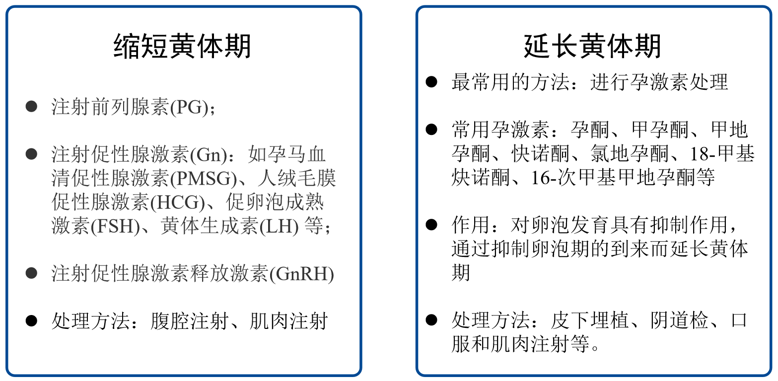 吹爆它！小鼠胚胎移植，采集、鉴定、案例展示，此文全了！