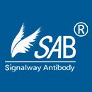 SAB重组蛋白/细胞因子及ELISA试剂盒等