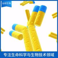 Chemokine Receptor D6抗体