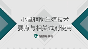丁香实验推荐阅读