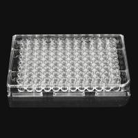 96孔细胞培养板，TC处理