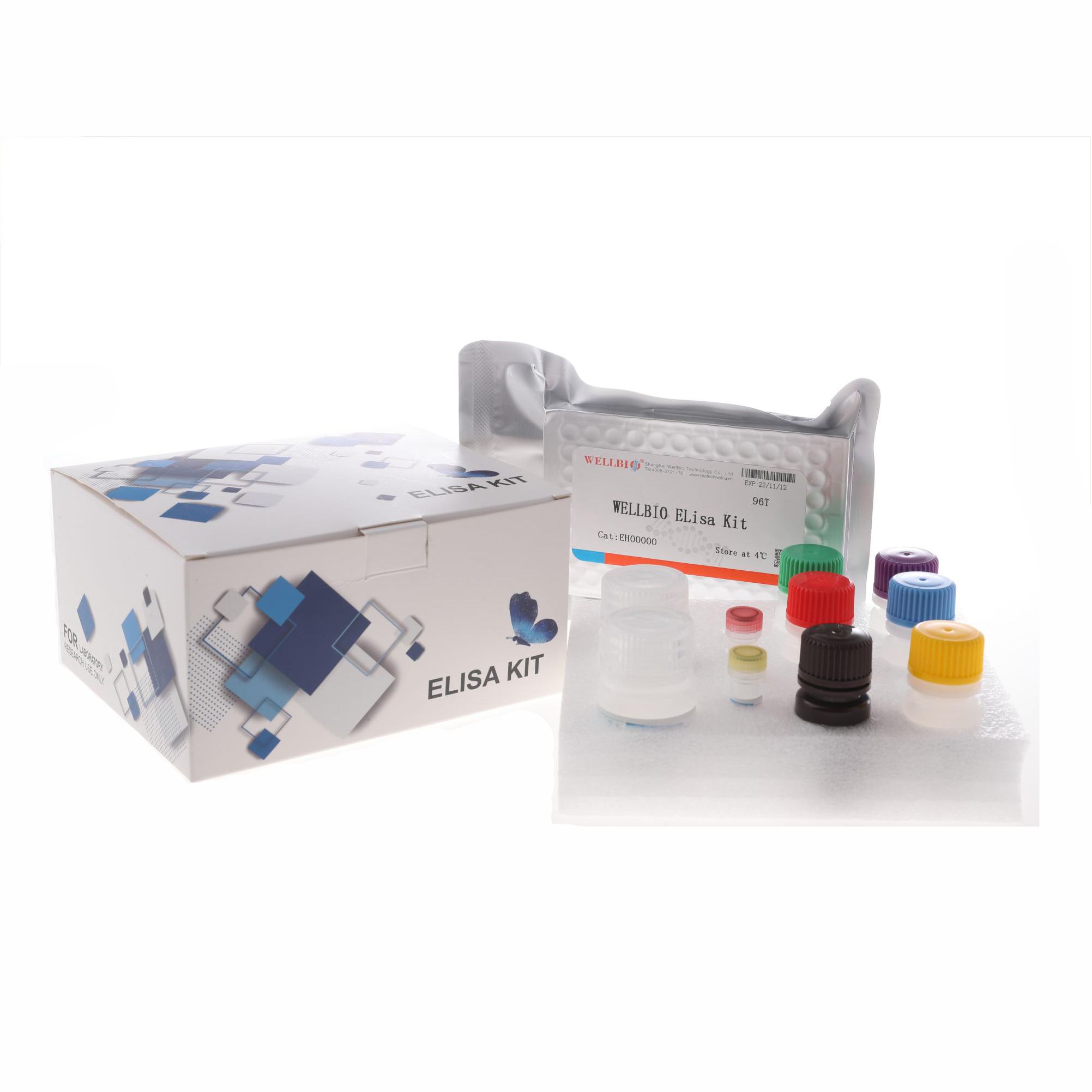 Human IL-6 ELISA kit（人白细胞介素-6 ）