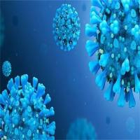 核糖核酸酶A12(RNASE12)重组蛋白(Human,人)