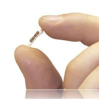 大鼠骨头固定器，小鼠骨头固定器，小动物骨固定器