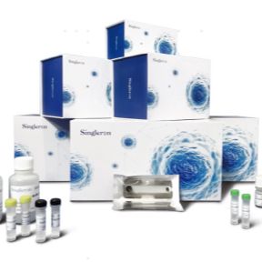 GEXSCOPE®海量单细胞转录组试剂盒