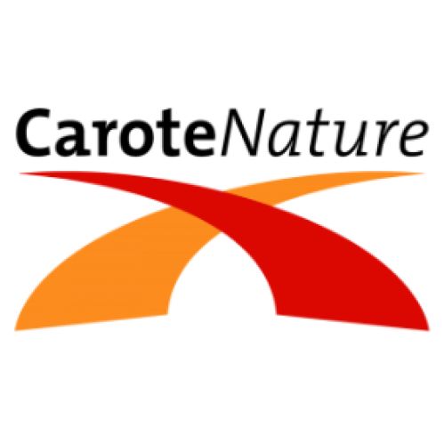 CaroteNature 10’-阿朴-β-胡萝卜醛 10’‐Apo‐β‐carotenal