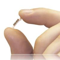 小动物骨科植入系统,大鼠骨固定器,小鼠骨固定器