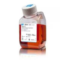 Gibco 高糖DMEM培养基