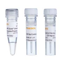 同源重组克隆试剂盒 一步法克隆试剂盒 One Step Cloning Kit