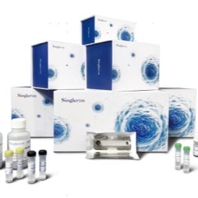 DynaSCOPE®单细胞转录动态监测试剂盒