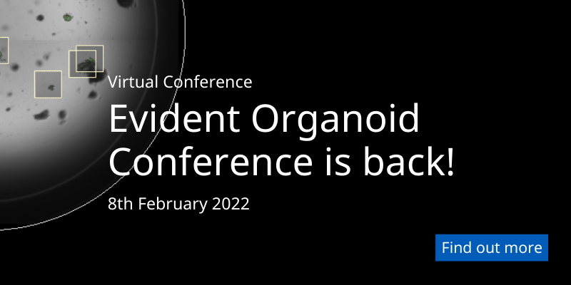 类器官论坛 | 3D共聚焦成像技术与实体瘤细胞治疗