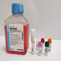 MCF-10A |MCF-10A细胞|MCF10A|MCF10A细胞|MCF-10A细胞专用培养基/镜像绮点(Cellverse)