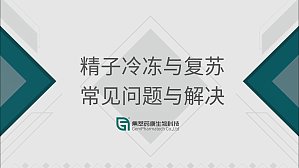 丁香实验推荐阅读