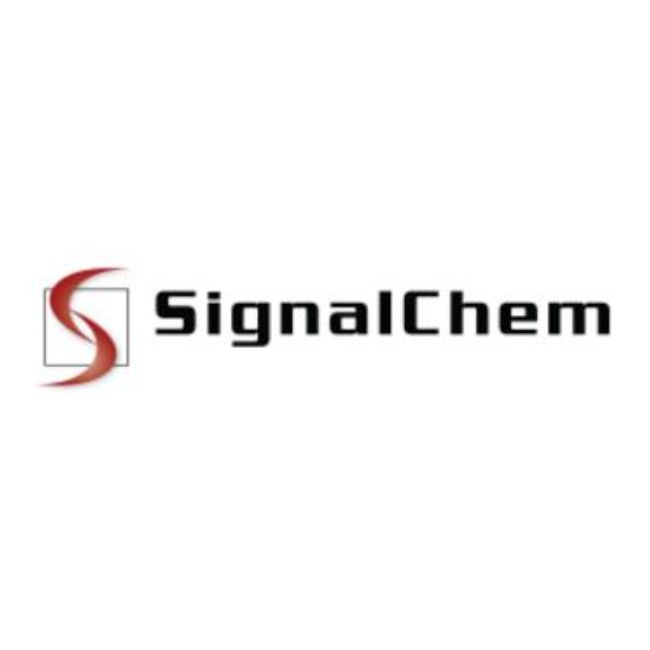 SignalChem高纯度且具备高生物活性的人重组蛋白