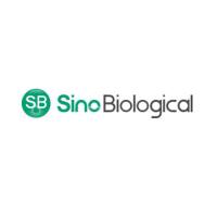 sino Biological Omicron突变株重组抗原、Omicron抗体、新冠突变株Spike三聚体蛋白、流感NP抗原免疫检测抗体对试剂、流感病毒HA, NP广谱抗体、流感疫苗株相关抗原、280+ 新突变体蛋白、新冠突变体抗原检测抗体试剂、新冠中和抗体、新冠抗原检测、冠状病毒试剂