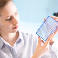 PCR芯片检测服务