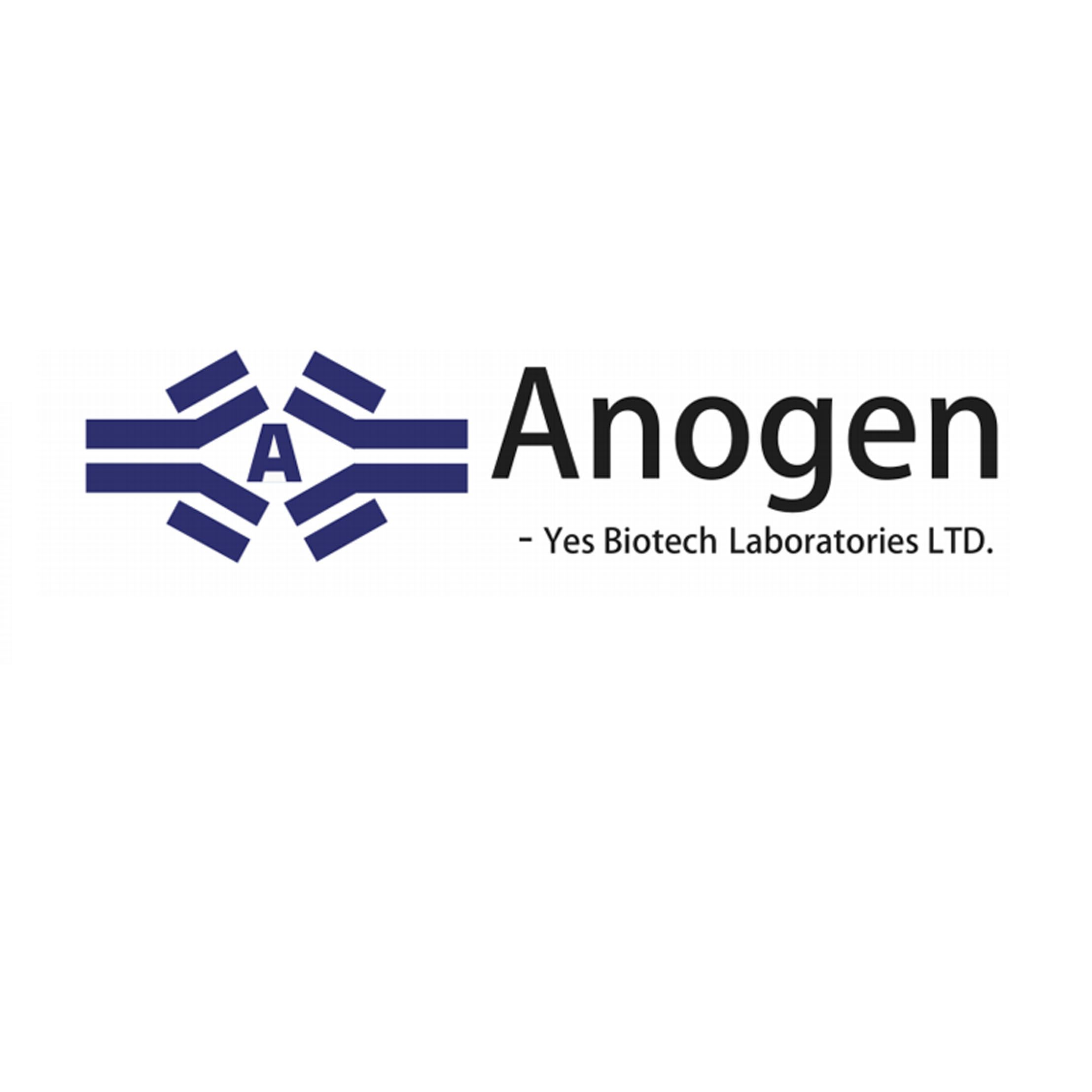 Anogen-Yes Biotech Laboratories Ltd单克隆和多克隆抗体，免疫测定试剂盒