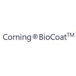 Biocoat多聚-D-赖氨酸包被微孔板