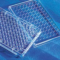 200ul白色半裙边96孔PCR板