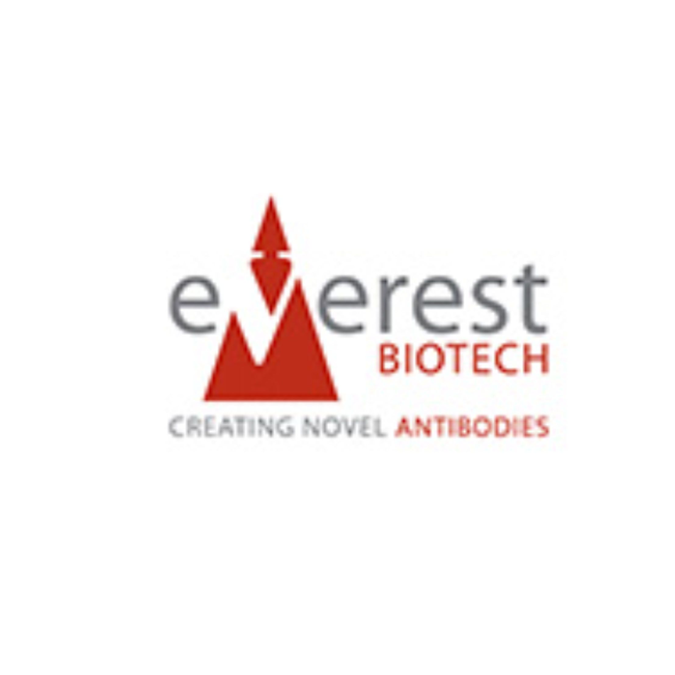 Everest Biotech单克隆抗体、Elite Grade 抗体、Aspiring Grade 抗体