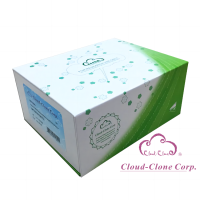 Active Fibroblast Growth Factor 1, Acidic (FGF1)