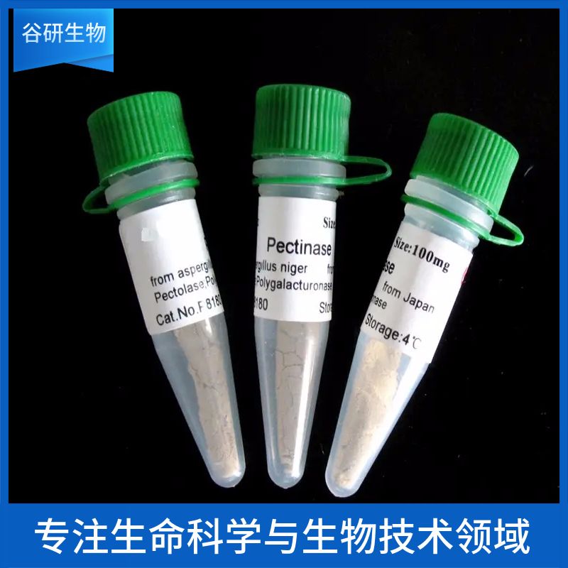 AKAP associated Sperm Protein抗体