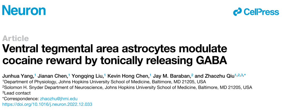 Neuron：约翰霍普金斯大学邱照铸团队揭示星形胶质细胞调节可/卡yin成瘾新机制