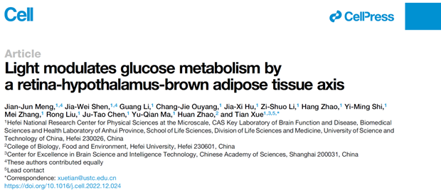 科技前沿丨FV3000助力揭示光感知调控血糖代谢的神经机制