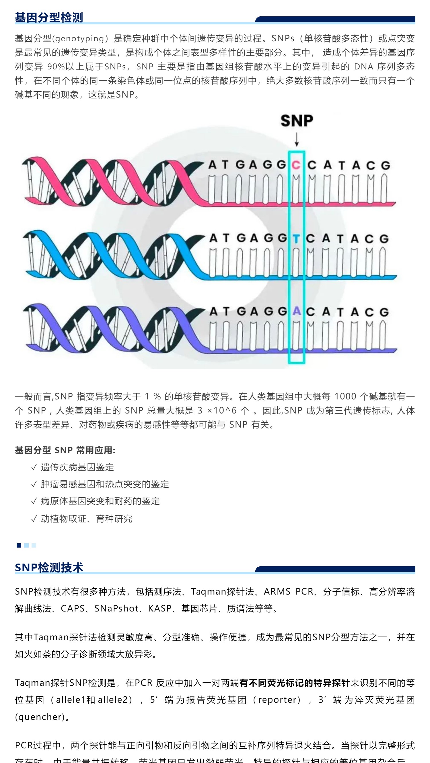 【新品】可冻干基因分型血液直扩qPCR预混液上市！