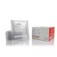 Invitrogen NuPAGE Bis-Tris 预制胶