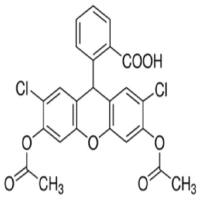 2',7'-二氯荧光素二乙酸酯 天津本生