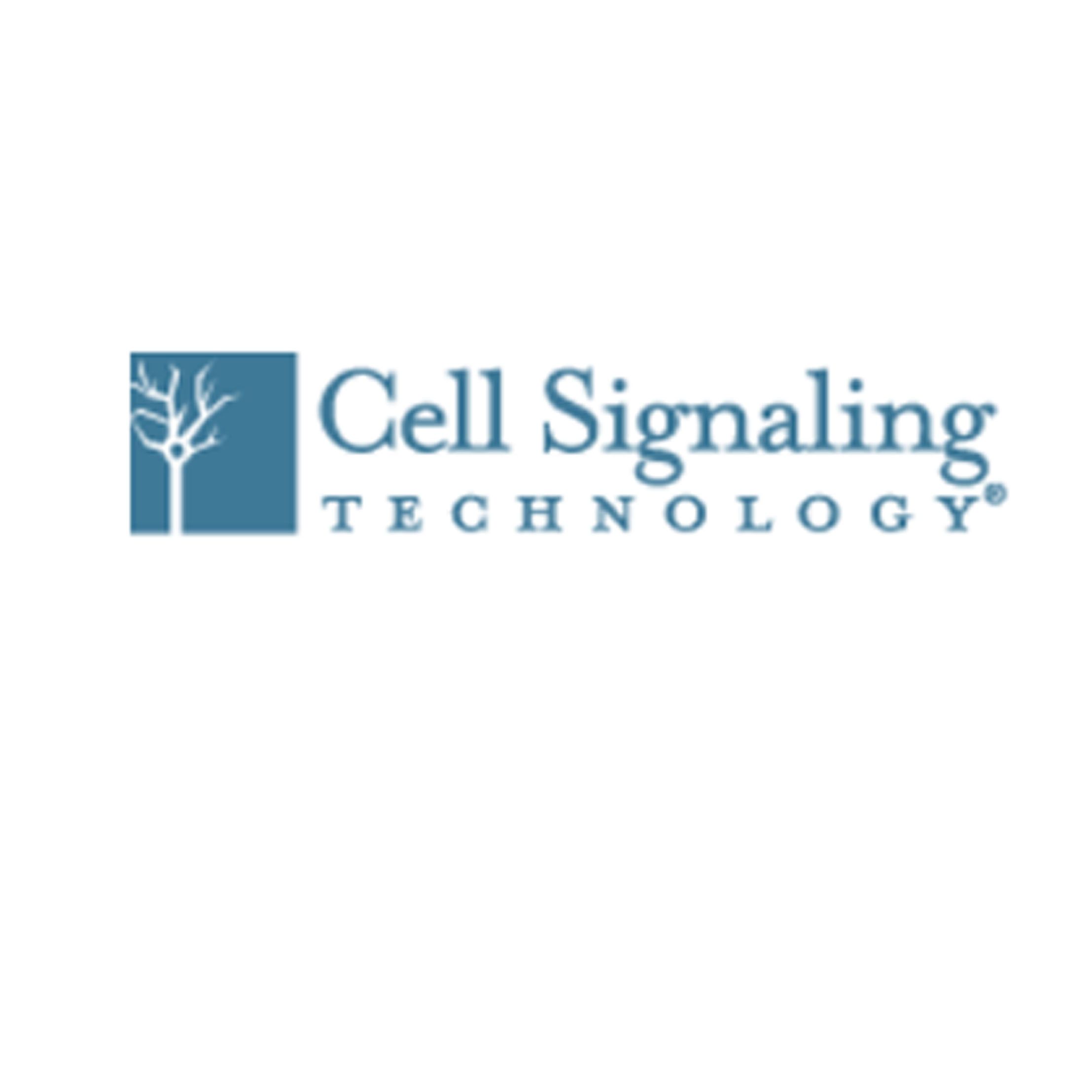 CST Cell Signaling Technology (CST) 抗体、试剂、蛋白质组学