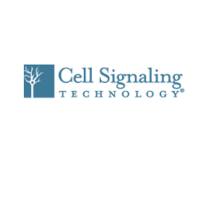 CST Cell Signaling Technology (CST) 抗体、试剂、蛋白质组学